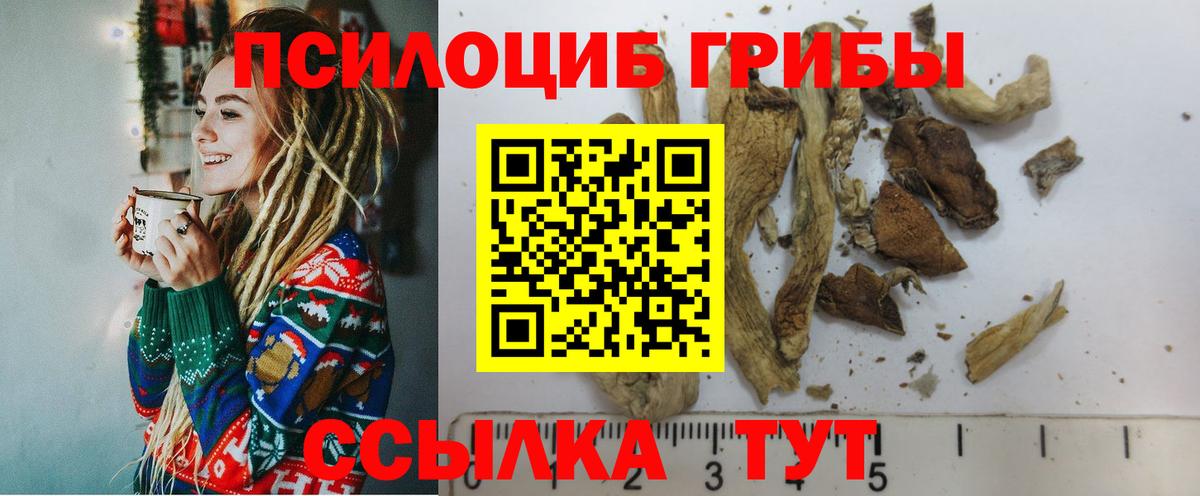 Галлюциногенные грибы мухоморы  Вход с VPN  Новотроицк 